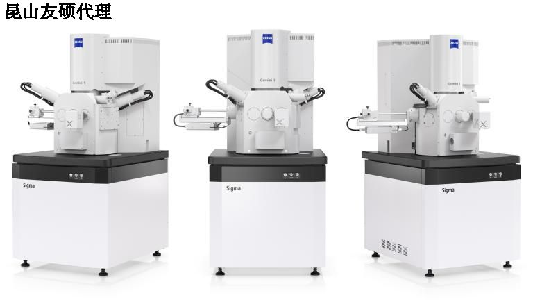 丰满丰满蔡司扫描电镜